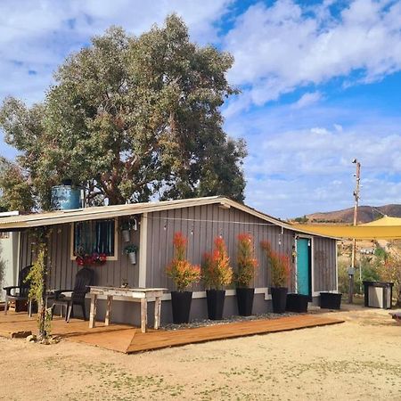 Finca Vidandrei Casa Eucalipto Valle de Guadalupe Dış mekan fotoğraf