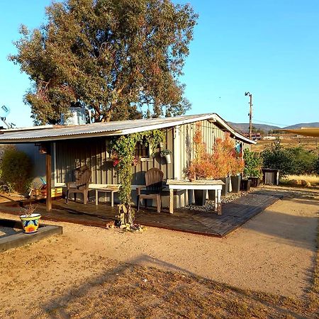 Finca Vidandrei Casa Eucalipto Valle de Guadalupe Dış mekan fotoğraf