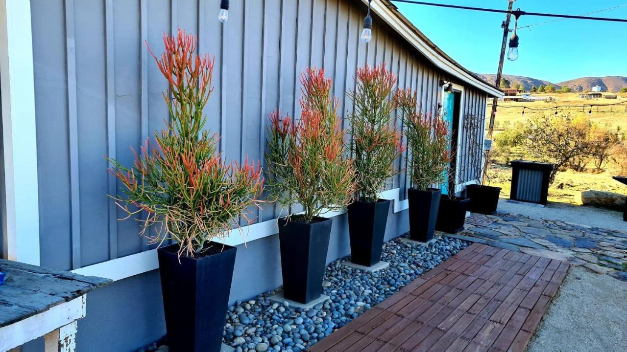 Finca Vidandrei Casa Eucalipto Valle de Guadalupe Dış mekan fotoğraf