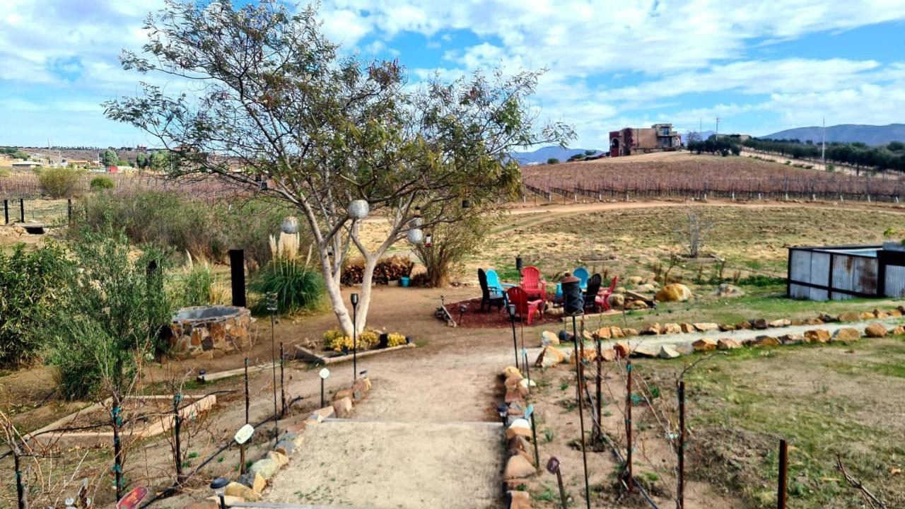 Finca Vidandrei Casa Eucalipto Valle de Guadalupe Dış mekan fotoğraf