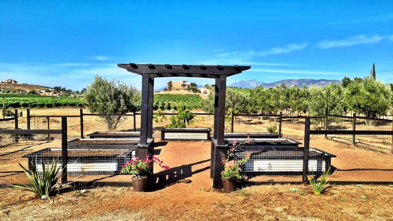 Finca Vidandrei Casa Eucalipto Valle de Guadalupe Dış mekan fotoğraf
