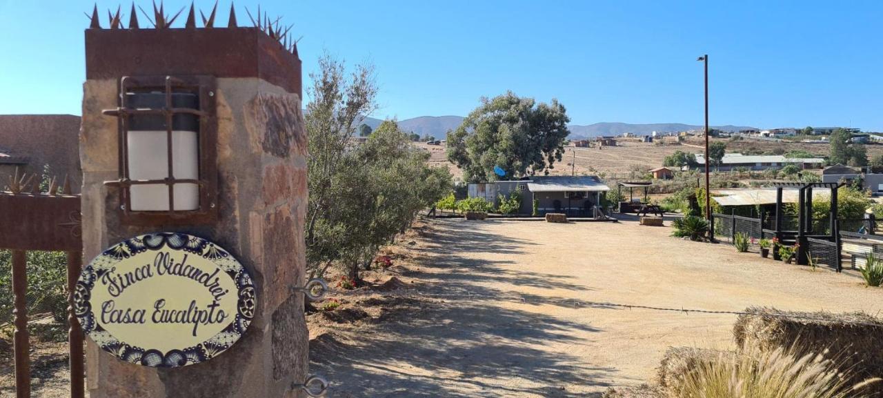Finca Vidandrei Casa Eucalipto Valle de Guadalupe Dış mekan fotoğraf