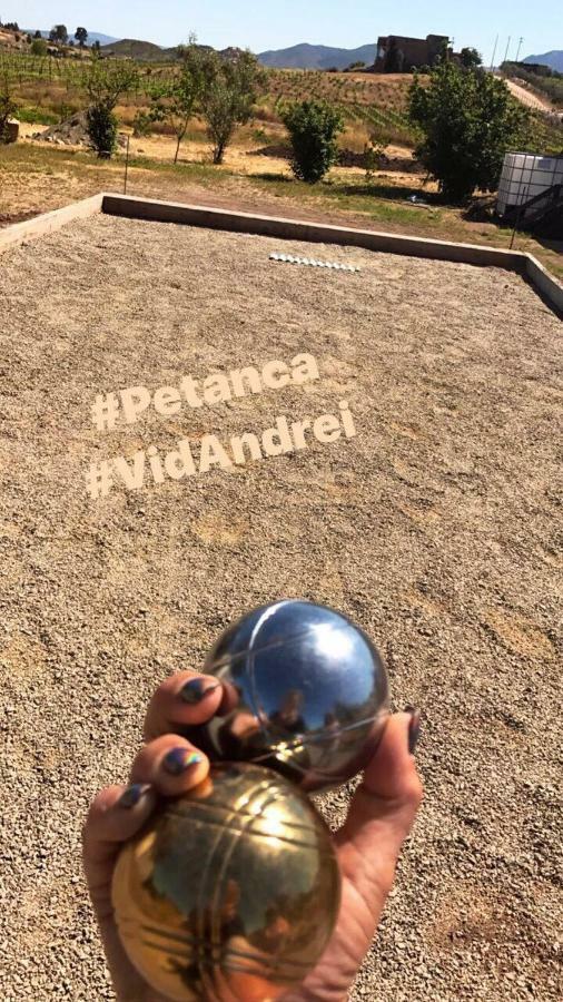 Finca Vidandrei Casa Eucalipto Valle de Guadalupe Dış mekan fotoğraf