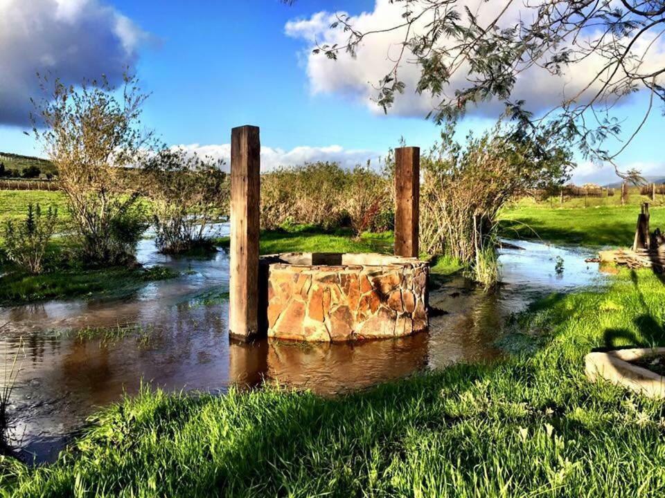 Finca Vidandrei Casa Eucalipto Valle de Guadalupe Dış mekan fotoğraf