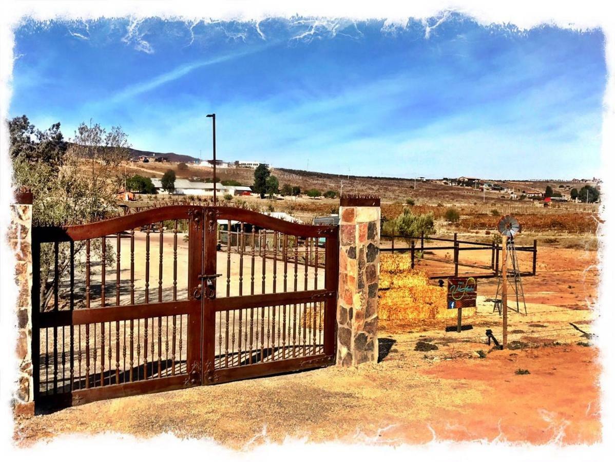 Finca Vidandrei Casa Eucalipto Valle de Guadalupe Dış mekan fotoğraf
