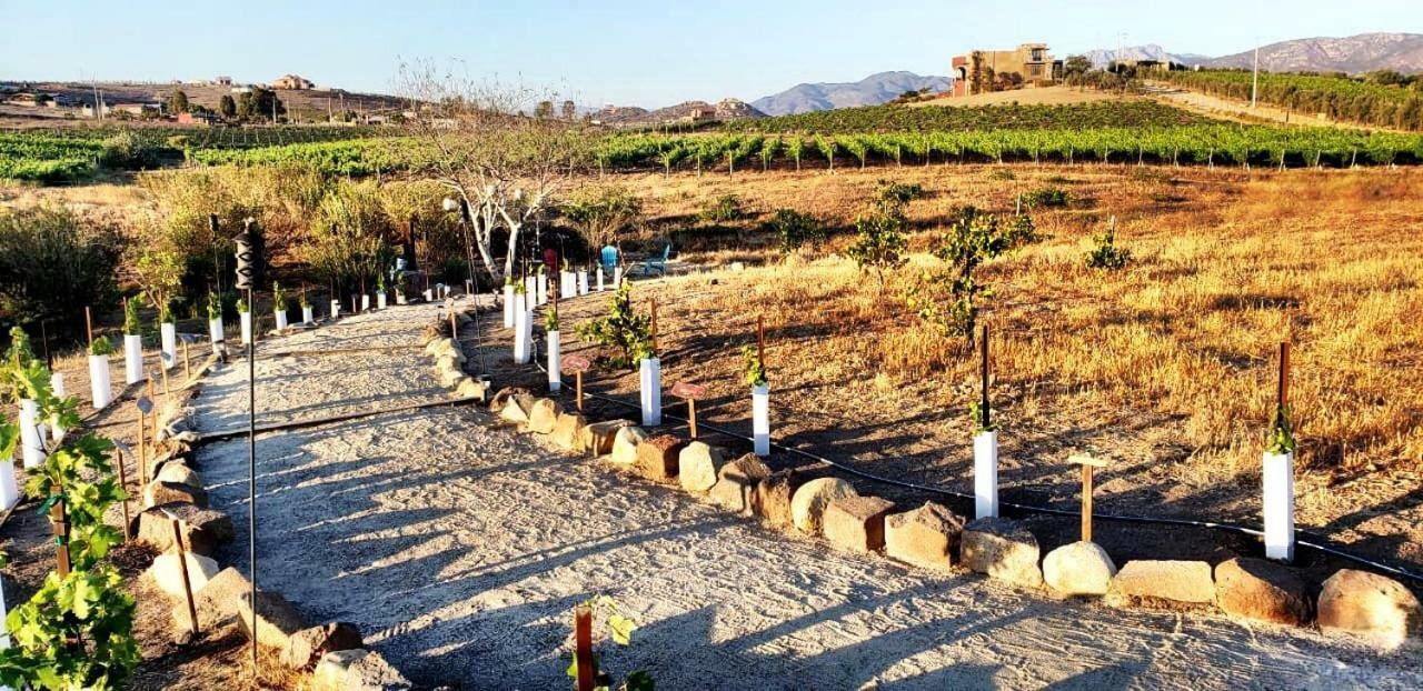 Finca Vidandrei Casa Eucalipto Valle de Guadalupe Dış mekan fotoğraf